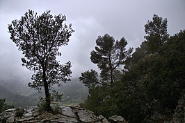DSC06213 -1_t.jpg